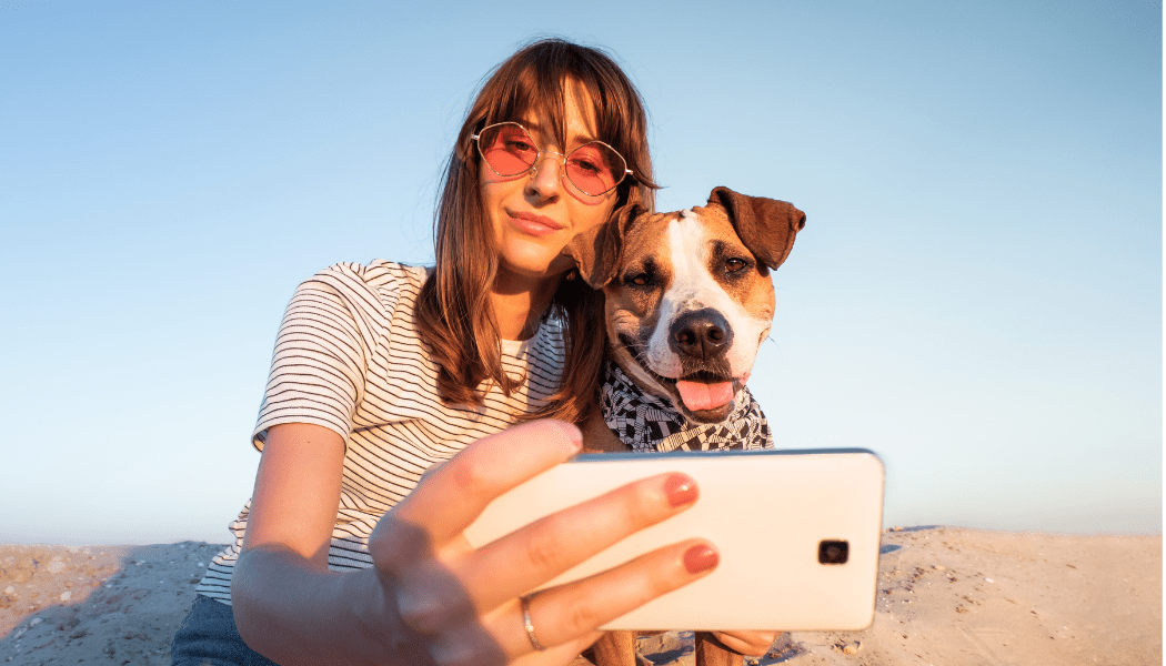 Island Animal Hospital Mobile Communication & Pet Health App